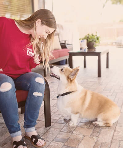 fetch pet care prices