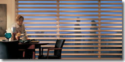 Window 01